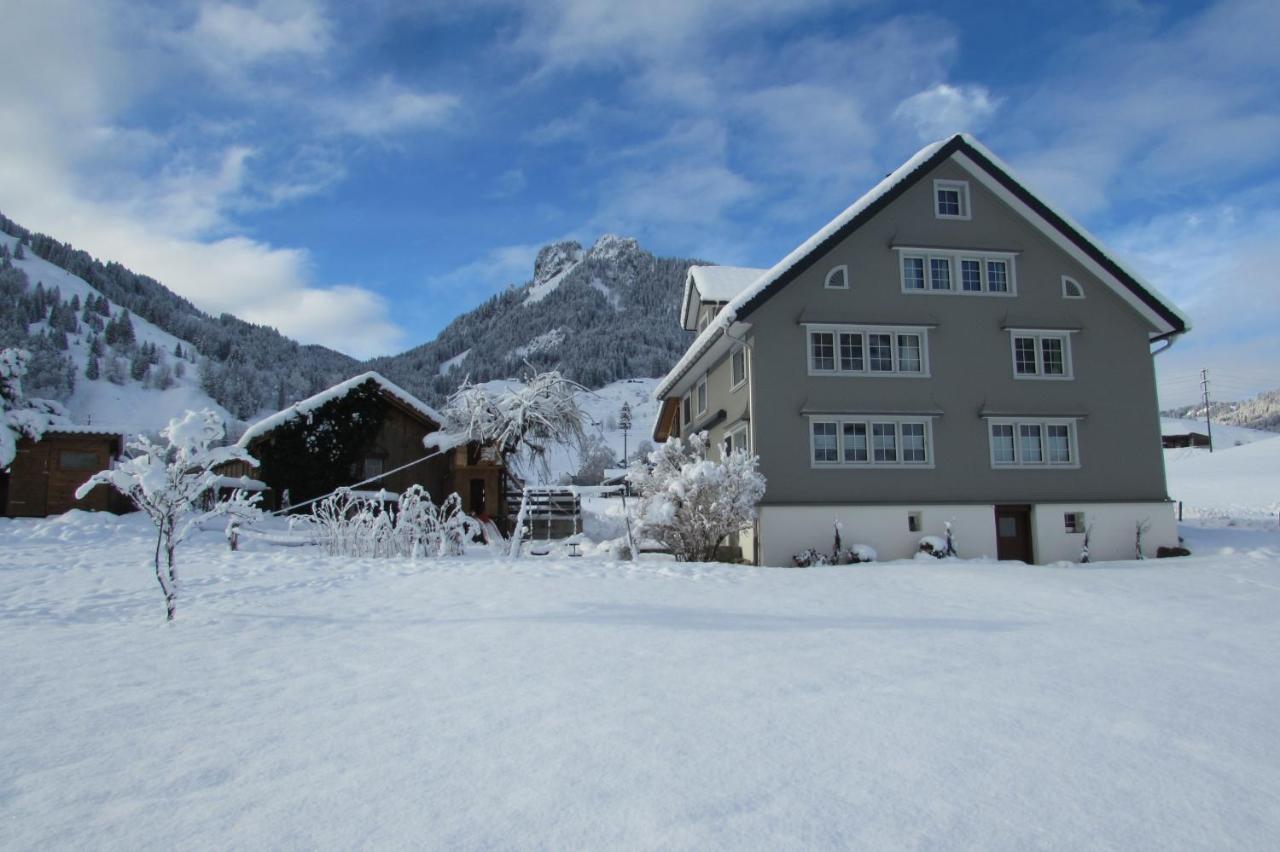 Wies Stein  المظهر الخارجي الصورة