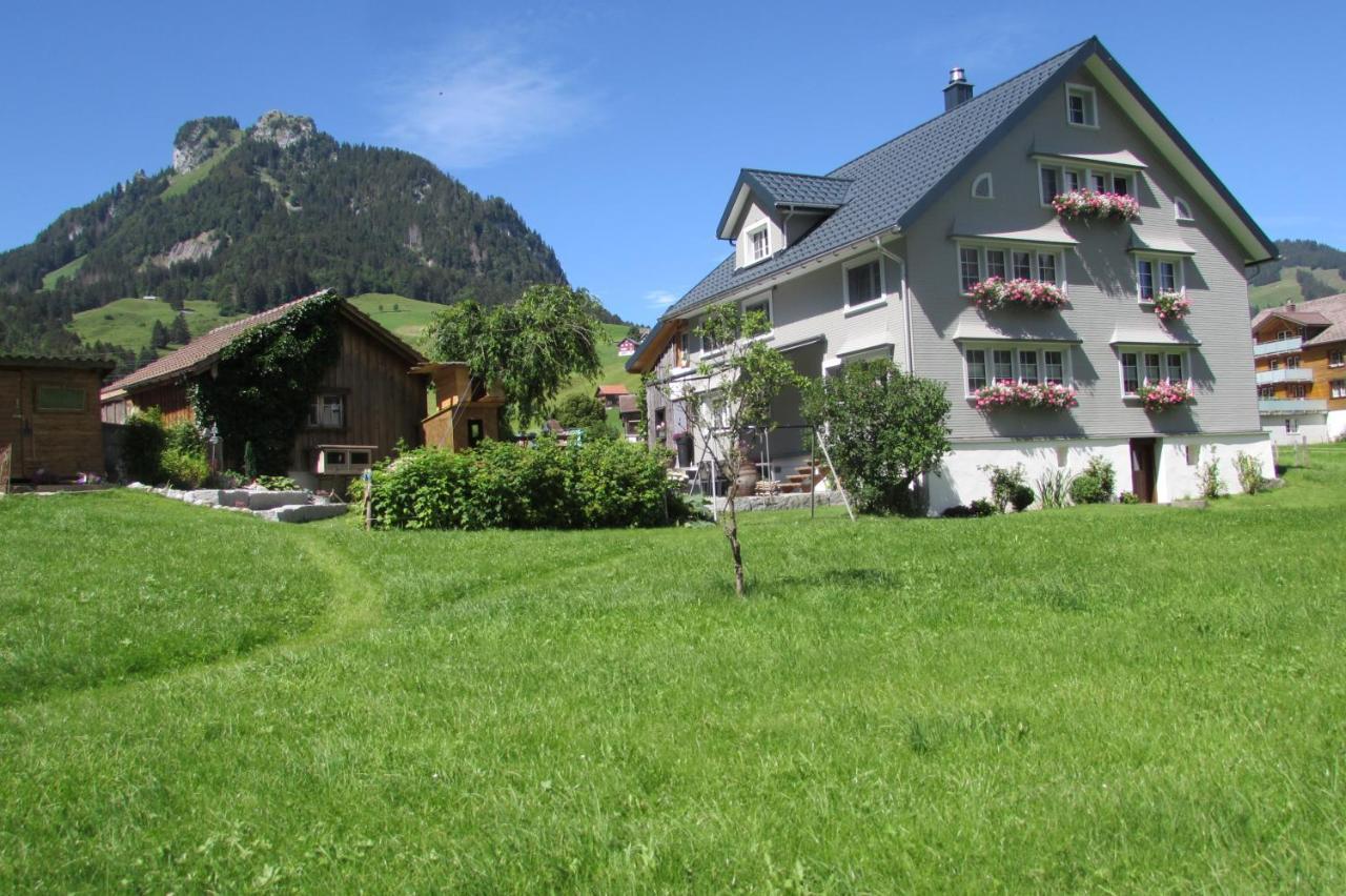 Wies Stein  المظهر الخارجي الصورة